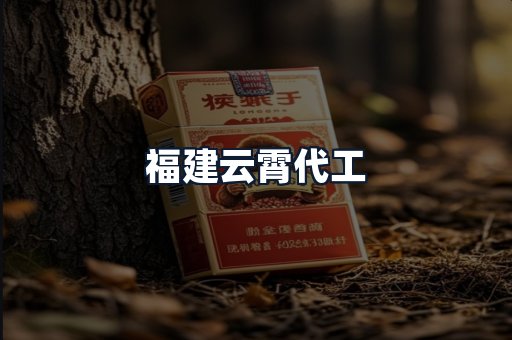 福建云霄代工